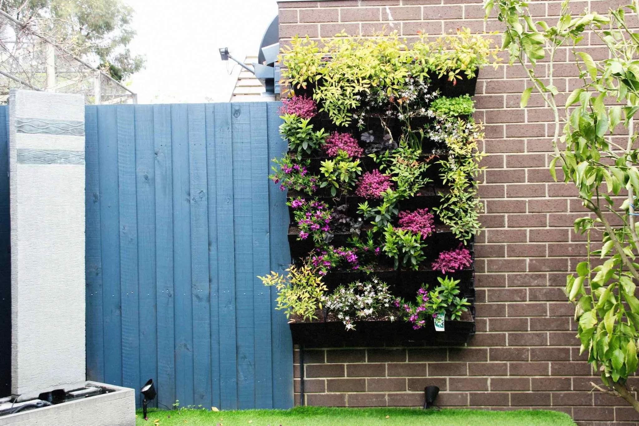 vertical garden melbourne