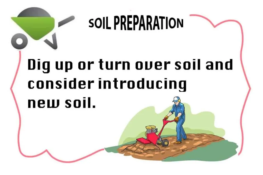 Soil Preparation