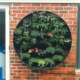 Vertical Garden