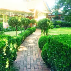 Commercial Landscaping