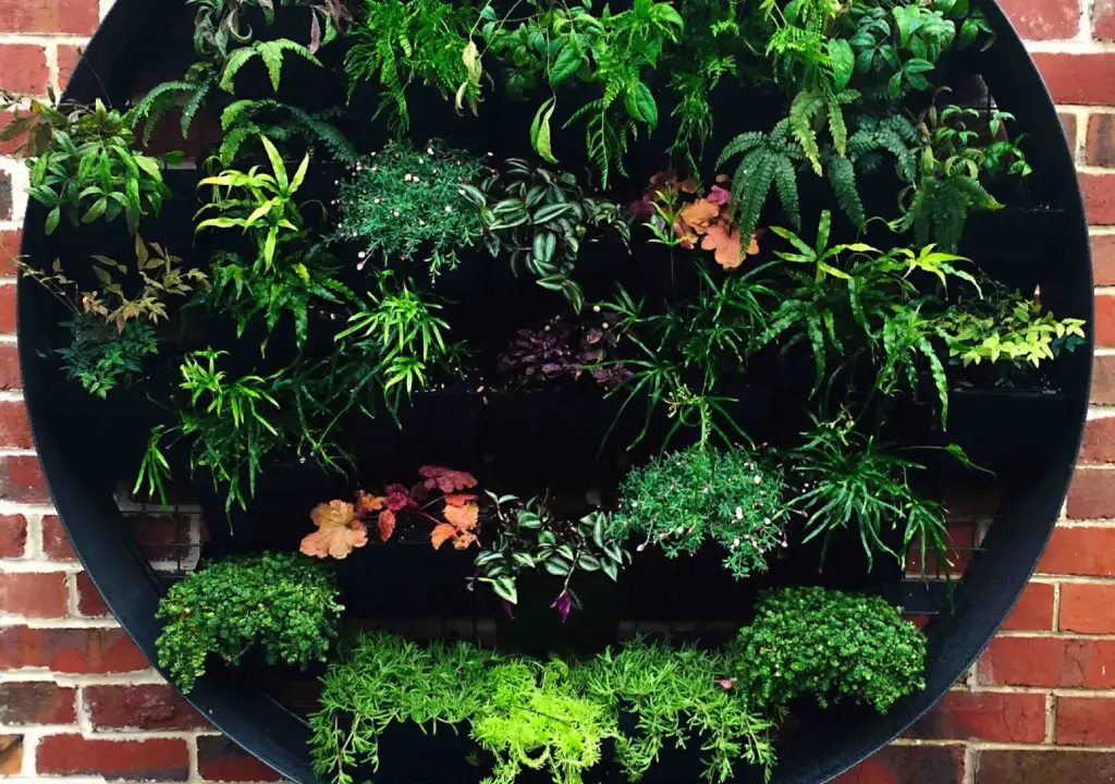 VERTICAL-GARDEN
